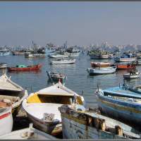 Александрия - рыбацкая гавань