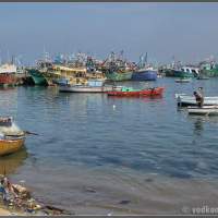 Александрия - рыбацкая гавань подзасрата…