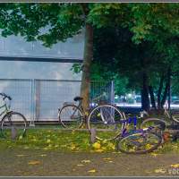 Бесхозный велотранспорт в Мюнхене