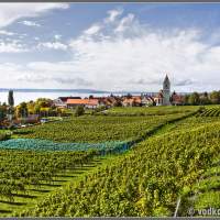 Баварские виноградники на озере Боден